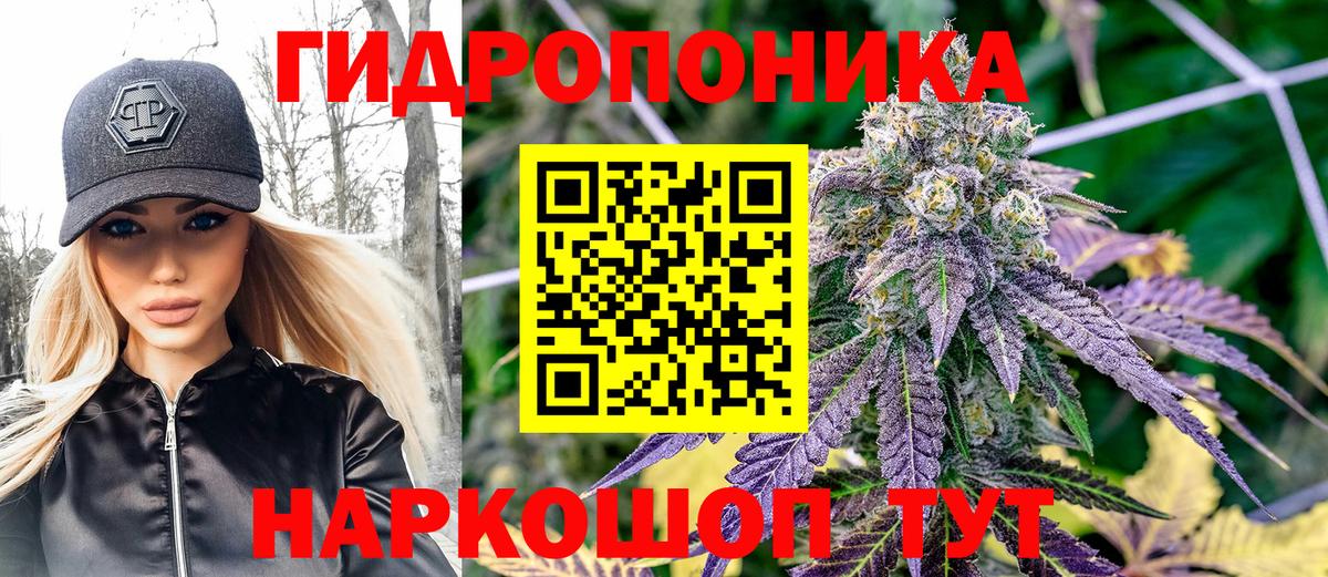 Марихуана Bruce Banner Костомукша